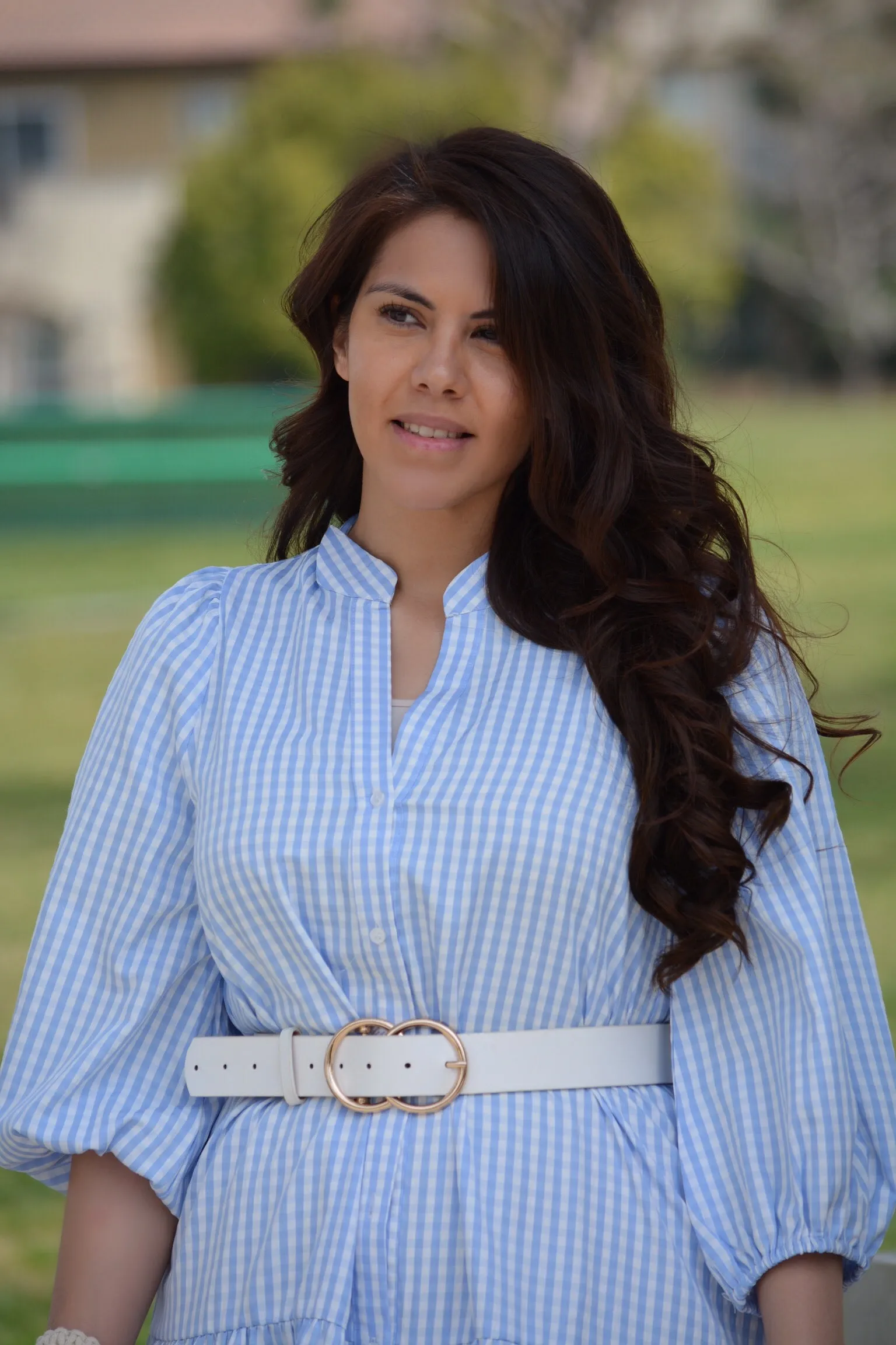 Katrice Blue Gingham  Dress