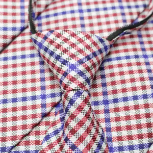 Patriot - Red, White, and Blue Gingham Patterned Long Zipper Tie