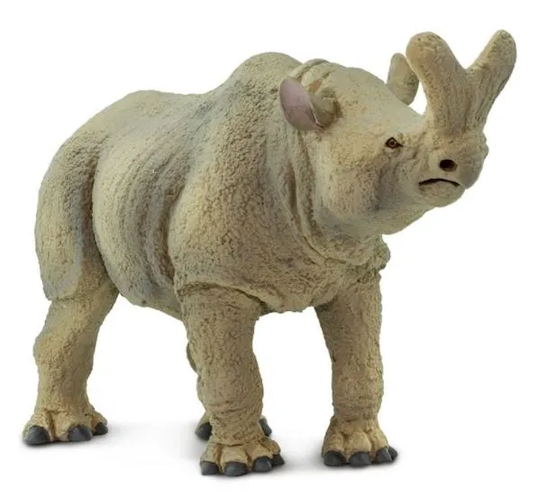 Safari Megacerops